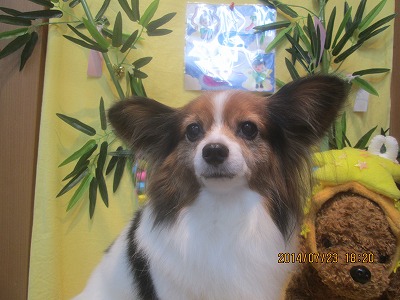 ファイル 7786-2.jpg