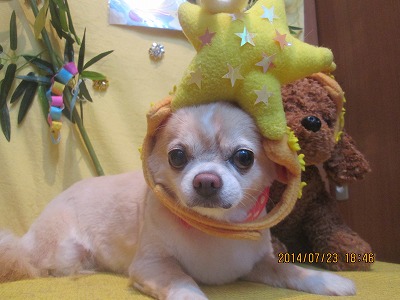 ファイル 7787-2.jpg