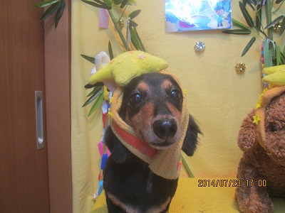 ファイル 7788-1.jpg