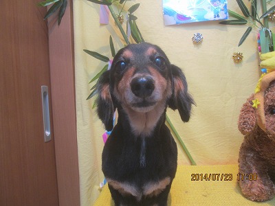 ファイル 7788-2.jpg