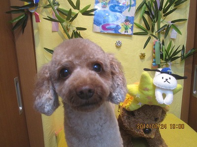 ファイル 7789-2.jpg