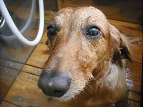 ファイル 779-2.jpg