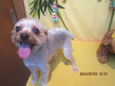 ファイル 7790-1.jpg