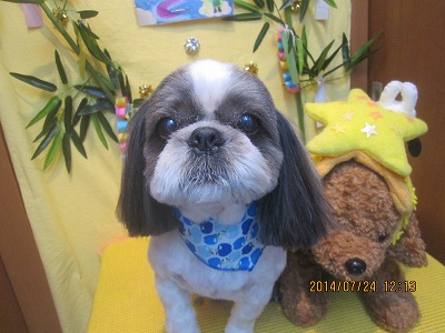 ファイル 7793-2.jpg