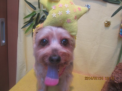 ファイル 7794-1.jpg