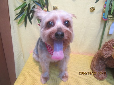 ファイル 7794-2.jpg