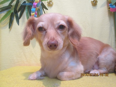 ファイル 7796-2.jpg