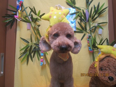 ファイル 7797-1.jpg