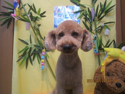 ファイル 7797-2.jpg