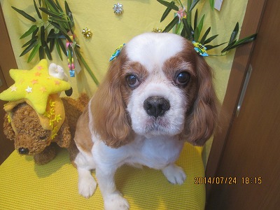 ファイル 7798-2.jpg