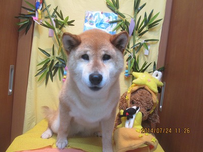 ファイル 7799-1.jpg