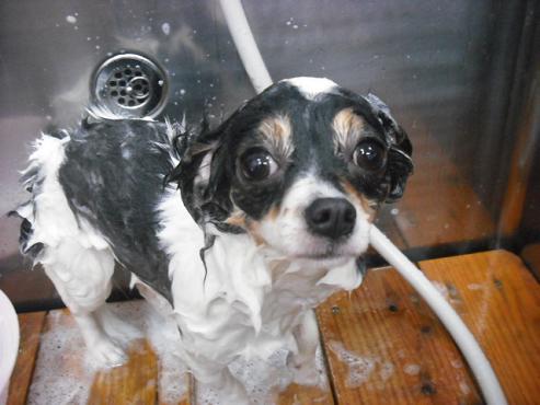 ファイル 78-2.jpg