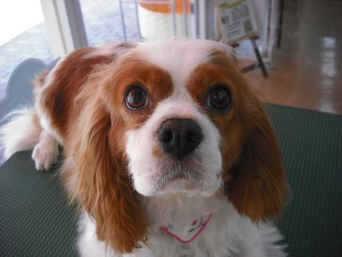 ファイル 780-1.jpg