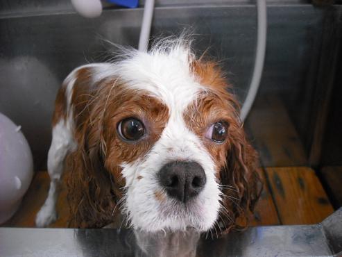 ファイル 780-2.jpg