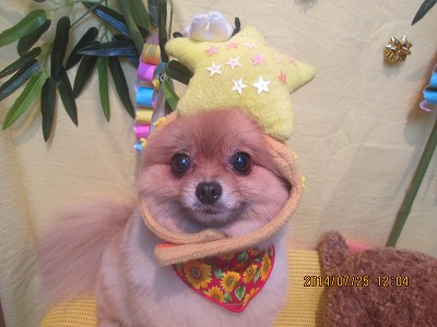 ファイル 7800-1.jpg