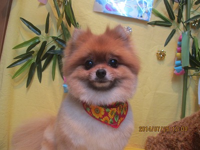 ファイル 7800-2.jpg