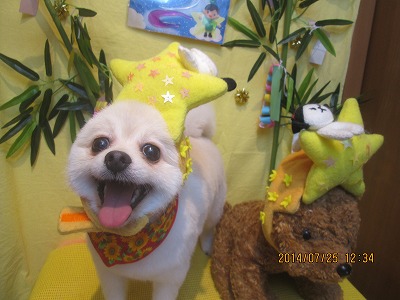 ファイル 7801-1.jpg