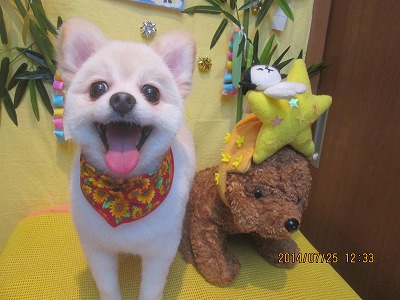 ファイル 7801-2.jpg