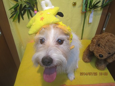 ファイル 7802-1.jpg