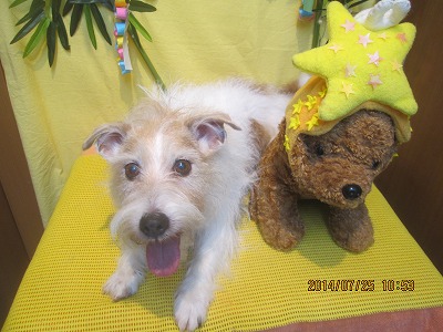 ファイル 7802-2.jpg