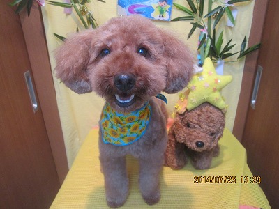 ファイル 7803-2.jpg