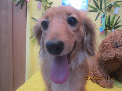 ファイル 7804-1.jpg