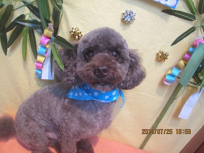 ファイル 7805-1.jpg