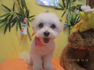 ファイル 7807-2.jpg