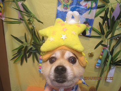 ファイル 7808-1.jpg