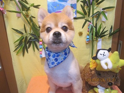 ファイル 7808-2.jpg