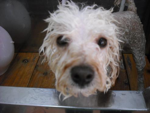 ファイル 781-2.jpg