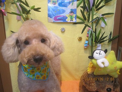 ファイル 7810-1.jpg