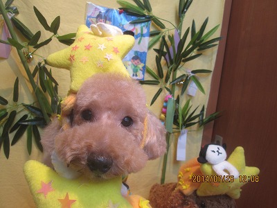 ファイル 7810-2.jpg