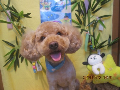 ファイル 7811-1.jpg