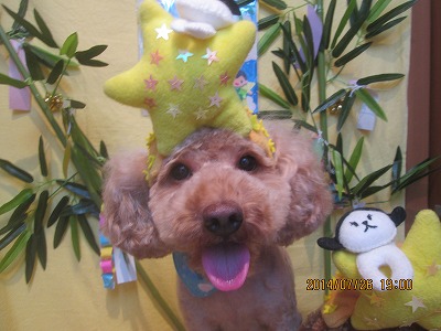 ファイル 7811-2.jpg