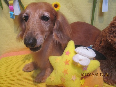 ファイル 7812-1.jpg