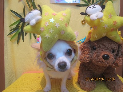 ファイル 7813-1.jpg