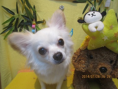 ファイル 7813-2.jpg