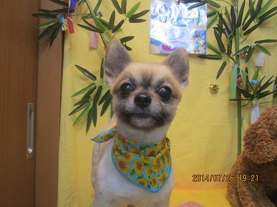 ファイル 7814-1.jpg