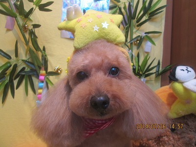 ファイル 7816-1.jpg