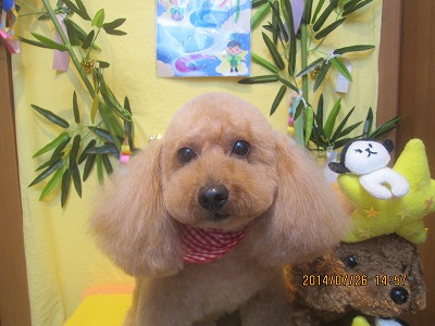 ファイル 7816-2.jpg