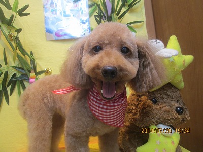 ファイル 7817-2.jpg