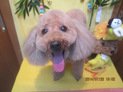 ファイル 7818-2.jpg