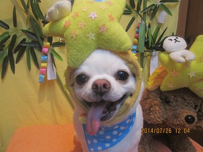 ファイル 7819-1.jpg