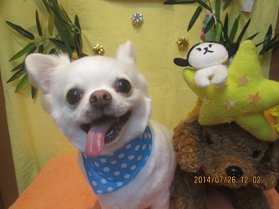 ファイル 7819-2.jpg