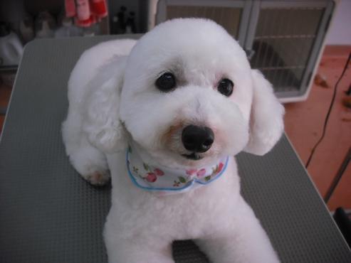 ファイル 782-1.jpg