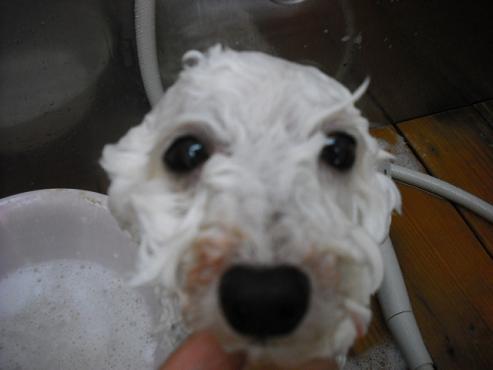 ファイル 782-2.jpg