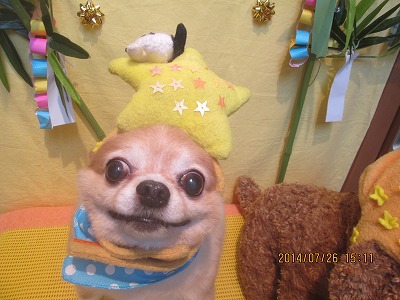 ファイル 7820-1.jpg