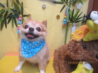 ファイル 7820-2.jpg