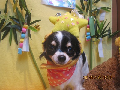 ファイル 7821-1.jpg